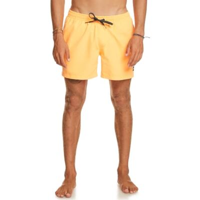 Quiksilver Everyday Volley 15" Jam/Volley para Hombre Quiksilver Everyday Volley 15" Jam/Volley para Hombre