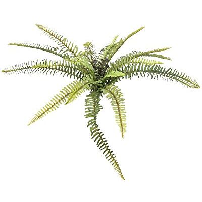 Europalms Foresta de helechos (40 cm), Color Verde Europalms Foresta de helechos (40 cm), Color Verde