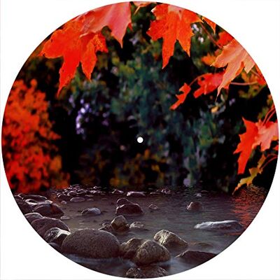 Desconocido Alfombrilla deslizante Alfombrilla antideslizante Fieltro para cualquier reproductor de discos giratorio de vinilo LP de 12", gr�fico personalizado Maple River Desconocido Alfombrilla deslizante Alfombrilla antideslizante Fieltro para cualquier reproductor de discos giratorio de vinilo LP de 12", gr�fico personalizado Maple River