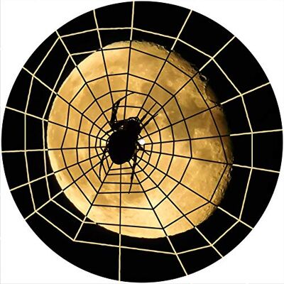 Desconocido Alfombrilla deslizante Alfombrilla antideslizante Fieltro para cualquier reproductor de discos giratorio de vinilo LP de 12", gr�fico personalizado Spider Web 21 Desconocido Alfombrilla deslizante Alfombrilla antideslizante Fieltro para cualquier reproductor de discos giratorio de vinilo LP de 12", gr�fico personalizado Spider Web 21