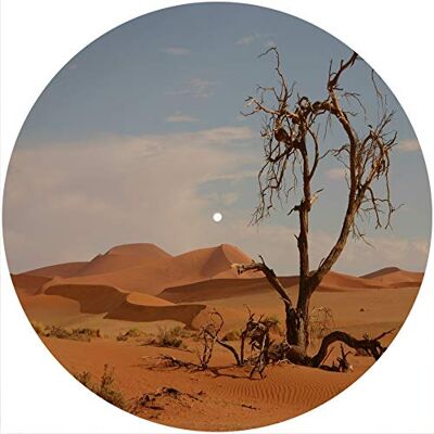 Desconocido Alfombrilla deslizante Alfombrilla antideslizante Fieltro para cualquier reproductor de discos giratorio de vinilo LP de 12", gr�fico personalizado Desert Sand 1 Desconocido Alfombrilla deslizante Alfombrilla antideslizante Fieltro para cualquier reproductor de discos giratorio de vinilo LP de 12", gr�fico personalizado Desert Sand 1