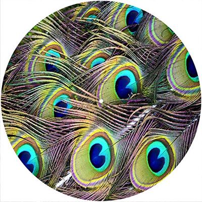 Desconocido Alfombrilla deslizante Alfombrilla antideslizante Fieltro para cualquier reproductor de discos giratorio de vinilo LP de 12", gr�fico personalizado Peacock 2 Desconocido Alfombrilla deslizante Alfombrilla antideslizante Fieltro para cualquier reproductor de discos giratorio de vinilo LP de 12", gr�fico personalizado Peacock 2