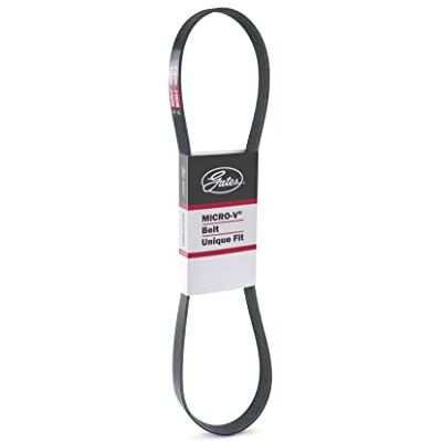 Gates Correa trapecial poli V negro Gates Correa trapecial poli V negro