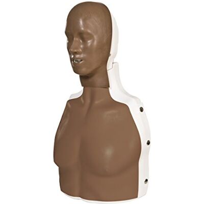 3B Scientific ' Basic de Life de Support Simulator ''Basic Billy, oscuro 3B Scientific ' Basic de Life de Support Simulator ''Basic Billy, oscuro