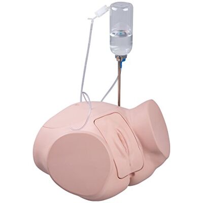 3B Scientific p93p de F Tiga-Med isierungs Simulator Pro, hembra 3B Scientific p93p de F Tiga-Med isierungs Simulator Pro, hembra