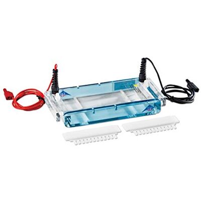 3B Scientific Electroforesis Chamber S 3B Scientific Electroforesis Chamber S