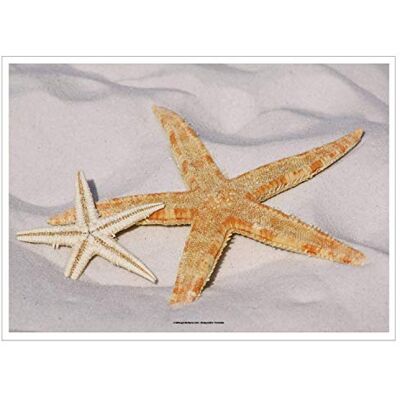 García de Pou - Starfish - 31x43 cm - manteles individuales García de Pou - Starfish - 31x43 cm - manteles individuales