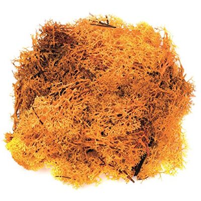 GLOREX " Islandmoos Juguete, Naranja GLOREX " Islandmoos Juguete, Naranja