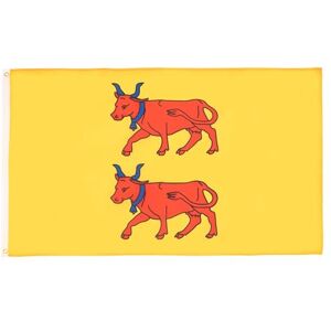 Az Flag - Béarn Province Flag - 150x90cm - Polyester - Flag Az Flag - Béarn Province Flag - 150x90cm - Polyester - Flag