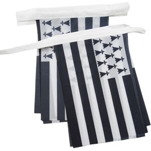 AZ FLAG Guirnalda 6 Metros 20 Banderas Bretaña 21x15 cm Bandera Bretagne Francia 15 x 21 Cm Banderines franceses AZ FLAG Guirnalda 6 Metros 20 Banderas Bretaña 21x15 cm Bandera Bretagne Francia 15 x 21 Cm Banderines franceses