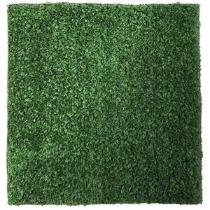 JE CHERCHE UNE IDEE , Césped Artificial 200x100cm, Altura 1cm, Aspecto Natural, Resistente a Intemperies, Fácil de Instalar, Mantenimiento Mínimo, Verde JE CHERCHE UNE IDEE , Césped Artificial 200x100cm, Altura 1cm, Aspecto Natural, Resistente a Intemperies, Fácil de Instalar, Mantenimiento Mínimo, Verde