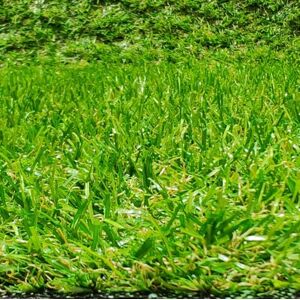 Tadi & Imperio1979 Corte de Césped Artificial, Moqueta Terraza o Jardín de 20 MM Altura (100 X 200 Centímetros) Tadi & Imperio1979 Corte de Césped Artificial, Moqueta Terraza o Jardín de 20 MM Altura (100 X 200 Centímetros)