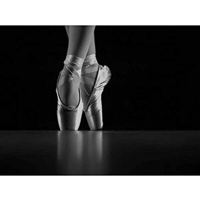 Wee Blue Coo Photo Dancing Dancer Ballerina Ballet Shoes Art Print Poster Wall Decor 12X16 Inch Wee Blue Coo Photo Dancing Dancer Ballerina Ballet Shoes Art Print Poster Wall Decor 12X16 Inch