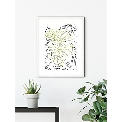 Póster KOMAR Monstera Borsigiana - Arte de Pared Botánico Póster KOMAR Monstera Borsigiana - Arte de Pared Botánico