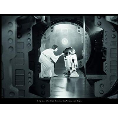 Komar WB 125-40x30 cm Cuadro decorativo para habitación infantil (40 x 30 cm), diseño de Star Wars Komar WB 125-40x30 cm Cuadro decorativo para habitación infantil (40 x 30 cm), diseño de Star Wars