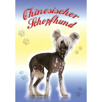 Schatzmix Blechschild Chinesischer Schopfhund Hund Metallschild 20x30 cm Wanddeko Tin Sign Señal metálica, hojalata, Multicolor, 20 x 30 cm Schatzmix Blechschild Chinesischer Schopfhund Hund Metallschild 20x30 cm Wanddeko Tin Sign Señal metálica, hojalata, Multicolor, 20 x 30 cm