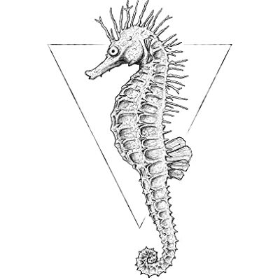 Komar Pure Boutique Sea Horse White – Tamaño: 50 x 70 cm – Comar – Póster de pared (sin marco) Komar Pure Boutique Sea Horse White – Tamaño: 50 x 70 cm – Comar – Póster de pared (sin marco)