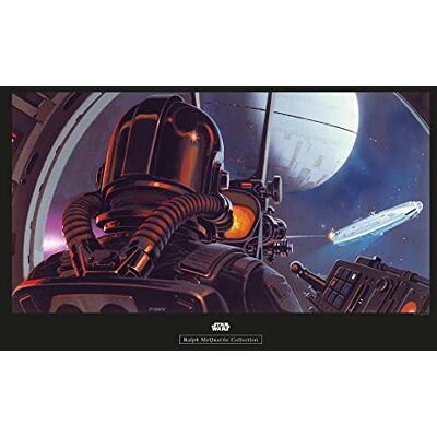 Komar Póster de Star Wars Classic RMQ TIE-Fighter Pilot – Tamaño: 70 x 50 cm – Comar – Póster de pared (sin marco) Komar Póster de Star Wars Classic RMQ TIE-Fighter Pilot – Tamaño: 70 x 50 cm – Comar – Póster de pared (sin marco)