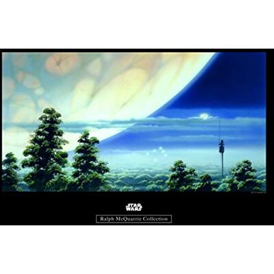 Komar Star Wars Classic RMQ Yavin Lookout Cuadro de Pared (no Incluye Marco, 3 tamaños), carbón, Komar Star Wars Classic RMQ Yavin Lookout Cuadro de Pared (no Incluye Marco, 3 tamaños), carbón,
