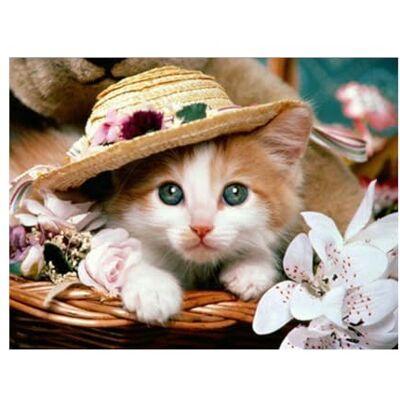 Pracht Creatives Hobby Set para Pintar con Diamantes, Cuadro con Motivo de Gato con Sombrero y Accesorios, Set de Manualidades para Pintar con Piedras Brillantes, para niños a Partir de 5 años Pracht Creatives Hobby Set para Pintar con Diamantes, Cuadro con Motivo de Gato con Sombrero y Accesorios, Set de Manualidades para Pintar con Piedras Brillantes, para niños a Partir de 5 años