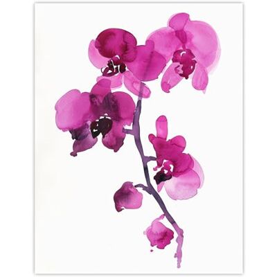 Artery8 Elegant Pink Orchid Abstract Floral Watercolour Living Room Large Wall Art Poster Print Thick Paper 18X24 Inch Artery8 Elegant Pink Orchid Abstract Floral Watercolour Living Room Large Wall Art Poster Print Thick Paper 18X24 Inch