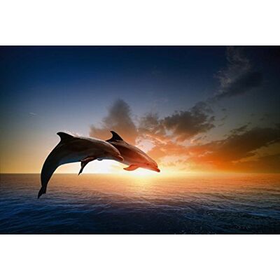 Scenolia Papel Pintado Déco Póster Salto de los Delfines 3 x 2,70 M Déco y Fotos de Pared XXL Calidad HD Scenolia Papel Pintado Déco Póster Salto de los Delfines 3 x 2,70 M Déco y Fotos de Pared XXL Calidad HD