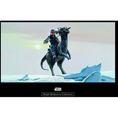 Komar WB 149-50x40 cm Cuadro decorativo para habitación infantil, diseño de Rmq Hoth Tauntaun de Star Wars (sin marco) Komar WB 149-50x40 cm Cuadro decorativo para habitación infantil, diseño de Rmq Hoth Tauntaun de Star Wars (sin marco)