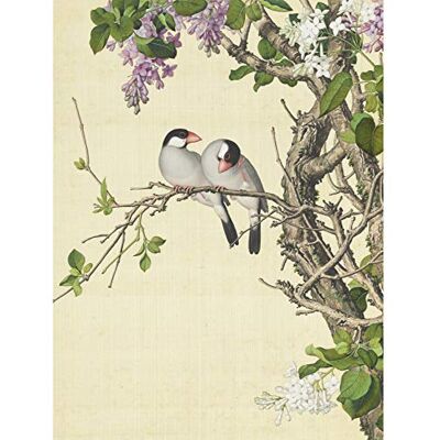 Castiglione Syringa Birds Tree Painting Large Wall Art Print Canvas Premium Mural Aves Árbol Pintura pared Castiglione Syringa Birds Tree Painting Large Wall Art Print Canvas Premium Mural Aves Árbol Pintura pared