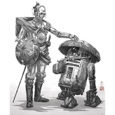 Komar Cuadro de pared de Star Wars Vision Samurai Droids – Tamaño 30 x 40 cm – Póster, habitación infantil, decoración – enrollado sin marco, blanco y negro Komar Cuadro de pared de Star Wars Vision Samurai Droids – Tamaño 30 x 40 cm – Póster, habitación infantil, decoración – enrollado sin marco, blanco y negro