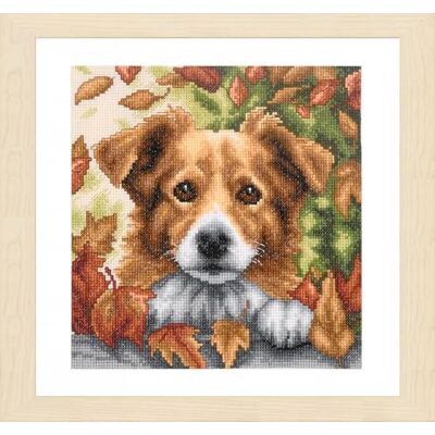 Vervaco Kits De Punto De Cruz Contado Cuadros Decoracion DIY Creativo Kit Perro de otoño Manualidades Arte De Pared Bordar Kit Principiantes Regalo 20 x 20 cm Cross Stitch Embroidery Vervaco Kits De Punto De Cruz Contado Cuadros Decoracion DIY Creativo Kit Perro de otoño Manualidades Arte De Pared Bordar Kit Principiantes Regalo 20 x 20 cm Cross Stitch Embroidery