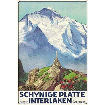 Schatzmix Blechschild Schynige Platte Interlaken Schweiz Metallschild 20x30 Deko Tin Sign Señal metálica, hojalata, Multicolor, 20 x 30 cm Schatzmix Blechschild Schynige Platte Interlaken Schweiz Metallschild 20x30 Deko Tin Sign Señal metálica, hojalata, Multicolor, 20 x 30 cm