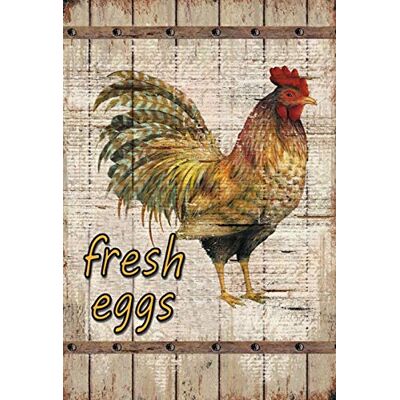 Schatzmix Blechschild Fresh Eggs Gockel Metallschild Wanddeko 20x30 cm Tin Sign Señal metálica, hojalata, Multicolor, 20 x 30 cm Schatzmix Blechschild Fresh Eggs Gockel Metallschild Wanddeko 20x30 cm Tin Sign Señal metálica, hojalata, Multicolor, 20 x 30 cm