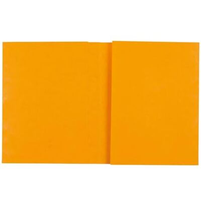 Exacompta Ref. 35129E Cartón de 80 cuadernos de 24 x 32 cm, con tarjeta brillante auténtica, con campo de inscripción, ideal para la escuela, colegio, universidades, color amarillo Exacompta Ref. 35129E Cartón de 80 cuadernos de 24 x 32 cm, con tarjeta brillante auténtica, con campo de inscripción, ideal para la escuela, colegio, universidades, color amarillo