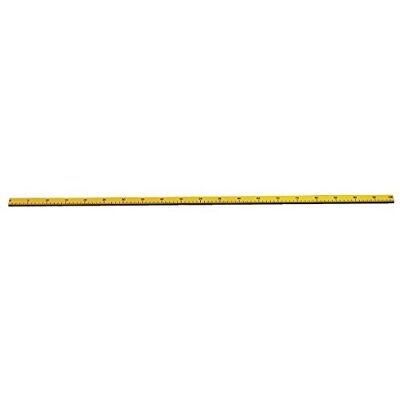 3B Scientific Escala, 1 m 3B Scientific Escala, 1 m