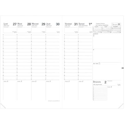 QUO VADIS – Recarga 16 meses – 2025-2026 – Planning SD – Semainier Planning – Francés – 16 meses de septiembre-diciembre – 18 x 24 cm – Papel blanco QUO VADIS – Recarga 16 meses – 2025-2026 – Planning SD – Semainier Planning – Francés – 16 meses de septiembre-diciembre – 18 x 24 cm – Papel blanco