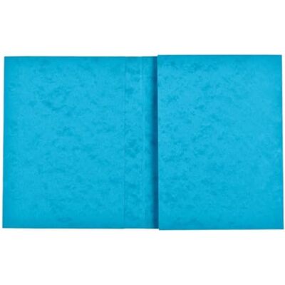 Exacompta Ref. – Paquete de 10 protectores de cuaderno de 24 x 32 cm en tarjeta brillante auténtica, con campo de inscripción, ideal para la escuela, colegio, universidades, color turquesa Exacompta Ref. – Paquete de 10 protectores de cuaderno de 24 x 32 cm en tarjeta brillante auténtica, con campo de inscripción, ideal para la escuela, colegio, universidades, color turquesa