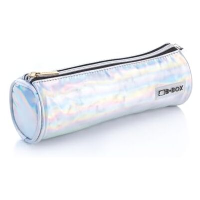 Favorit , Bolsa Glossy porta maquillaje con cremallera, color plata, ideal para bolso, formato 22 cm x 7,5 cm Favorit , Bolsa Glossy porta maquillaje con cremallera, color plata, ideal para bolso, formato 22 cm x 7,5 cm