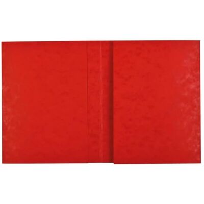 Exacompta Ref. 35125E Cartón de 80 protectores de cuaderno de 24 x 32 cm, con tarjeta brillante auténtica, con campo de inscripción, ideal para la escuela, colegio, universidades, color rojo Exacompta Ref. 35125E Cartón de 80 protectores de cuaderno de 24 x 32 cm, con tarjeta brillante auténtica, con campo de inscripción, ideal para la escuela, colegio, universidades, color rojo