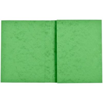 Exacompta Ref. – Paquete de 10 protectores de cuaderno de 24 x 32 cm con tarjeta brillante auténtica, con campo de inscripción, ideal para la escuela, colegio, universidades, color tilo Exacompta Ref. – Paquete de 10 protectores de cuaderno de 24 x 32 cm con tarjeta brillante auténtica, con campo de inscripción, ideal para la escuela, colegio, universidades, color tilo