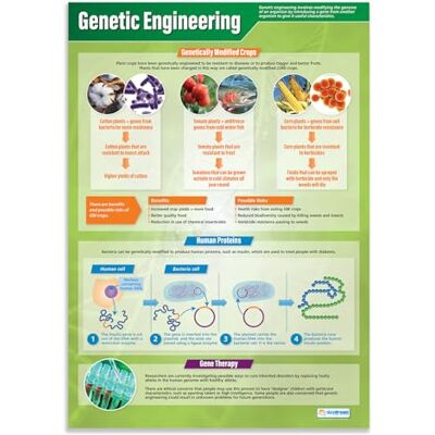 Daydream Education Póster de ingeniería genética Papel laminado brillante de 850 mm x 594 mm (A1) Gráficos de ciencia para el aula Cartas de educación Daydream Education Póster de ingeniería genética Papel laminado brillante de 850 mm x 594 mm (A1) Gráficos de ciencia para el aula Cartas de educación
