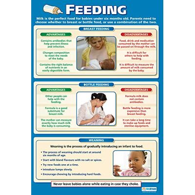 Daydream Education Alimentación Carteles de Desarrollo Infantil Papel Brillo midiendo 850mm x 594mm (A1) Carteles de Clase de Cuidado Infantil Tablas educativas Daydream Education Alimentación Carteles de Desarrollo Infantil Papel Brillo midiendo 850mm x 594mm (A1) Carteles de Clase de Cuidado Infantil Tablas educativas