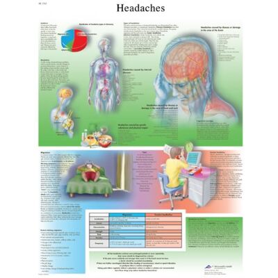 3B Scientific Póster plastificado de migrañas (texto en inglés) 3B Scientific Póster plastificado de migrañas (texto en inglés)