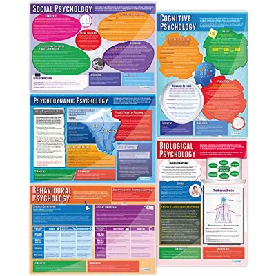 Daydream Education Juego de 5 pósteres psicológicos de psicología Papel laminado brillante de 850 mm x 594 mm (A1) Cartas de psicología para el aula Cartas de educación Daydream Education Juego de 5 pósteres psicológicos de psicología Papel laminado brillante de 850 mm x 594 mm (A1) Cartas de psicología para el aula Cartas de educación