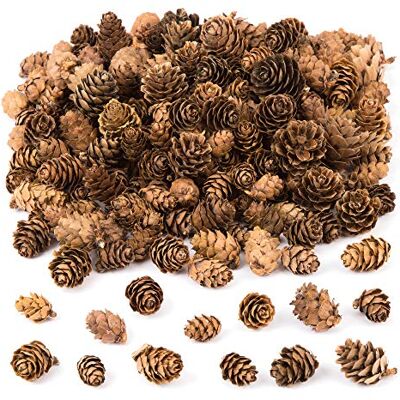 Baker Ross Conos de pino largos Ideal para manualidades, regalos, recuerdos y más para niños (paquete de 20) Baker Ross Conos de pino largos Ideal para manualidades, regalos, recuerdos y más para niños (paquete de 20)
