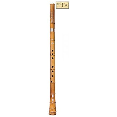 Terré Shakuhachi Xiao F Master Flauta de bambú tradicional japonesa y china (2 piezas) Terré Shakuhachi Xiao F Master Flauta de bambú tradicional japonesa y china (2 piezas)