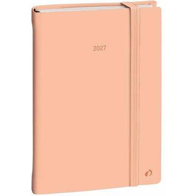 QUO VADIS DAILY 21 COLOR ML Pastel orange El 2027: Kalender im Schreibtischformat QUO VADIS DAILY 21 COLOR ML Pastel orange El 2027: Kalender im Schreibtischformat