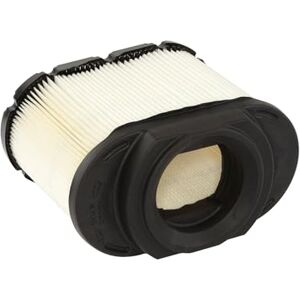 BRIGGS & STRATTON - 593240-0047282020135 - Filtro de aire BRIGGS & STRATTON - 593240-0047282020135 - Filtro de aire