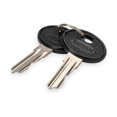 Digitus Llave de Repuesto para armarios de Red Varioflex, armarios murales Unique y armarios para servidores y armarios murales IP55 Dos Piezas Negro/Plata Digitus Llave de Repuesto para armarios de Red Varioflex, armarios murales Unique y armarios para servidores y armarios murales IP55 Dos Piezas Negro/Plata