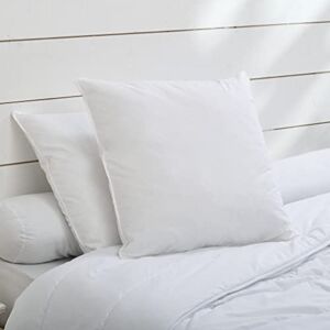 BLEU CALIN - Juego de 2 almohadas viscoelásticas - 65 x 65 cm - Almohadas BLEU CALIN - Juego de 2 almohadas viscoelásticas - 65 x 65 cm - Almohadas