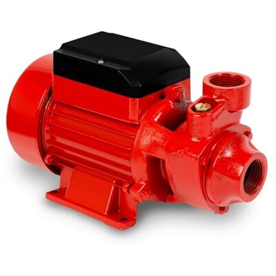 EBERTH Bomba de agua para jardín, bomba centrífuga de succión, conexión de 1 pulgada, potencia de 750 W, altura de aspiración de 8 m, altura de extracción de 50 m, caudal de 2400 l/h, autoaspirante EBERTH Bomba de agua para jardín, bomba centrífuga de succión, conexión de 1 pulgada, potencia de 750 W, altura de aspiración de 8 m, altura de extracción de 50 m, caudal de 2400 l/h, autoaspirante